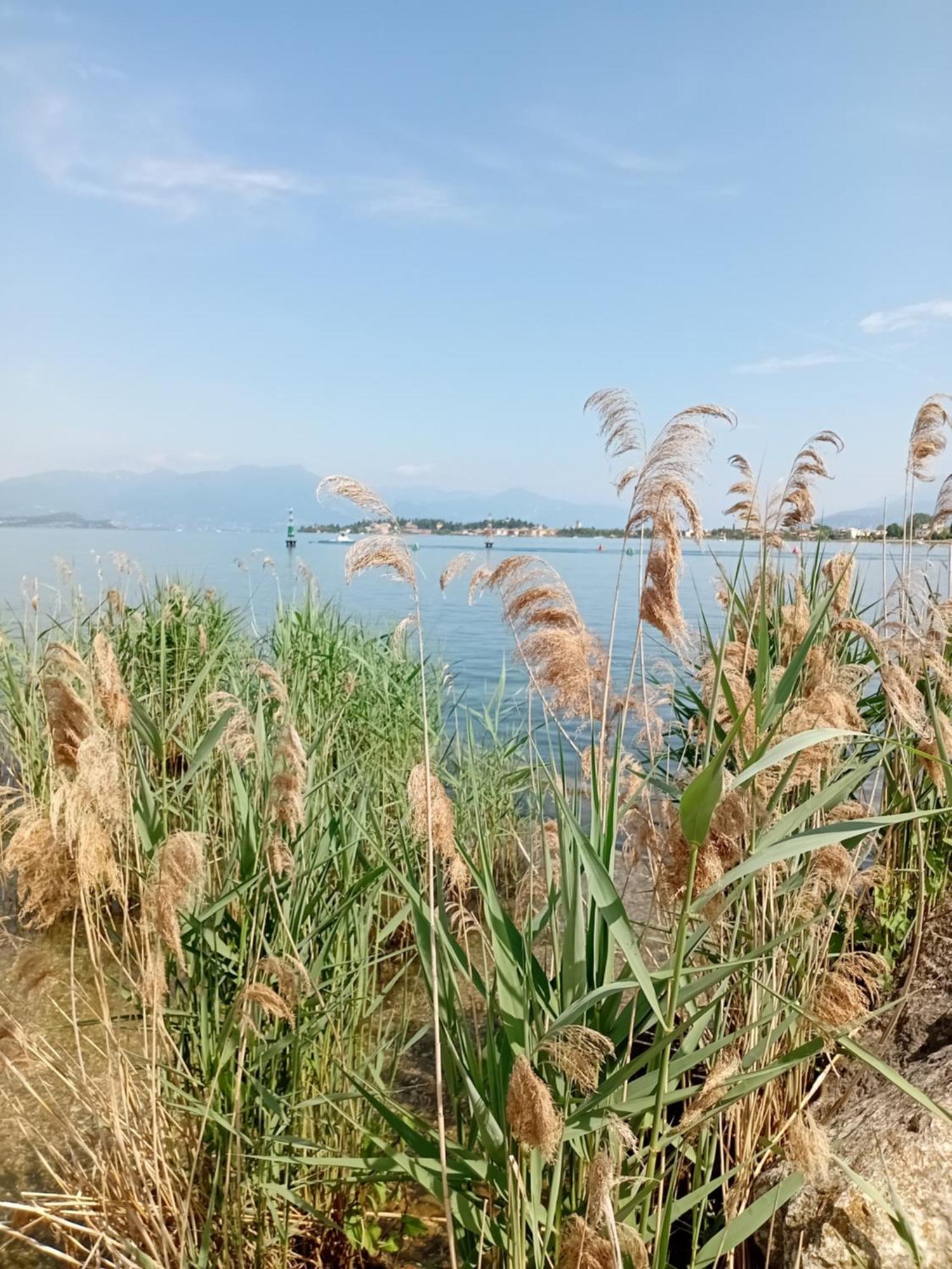 Miragarda Sirmione Lejlighed Eksteriør billede
